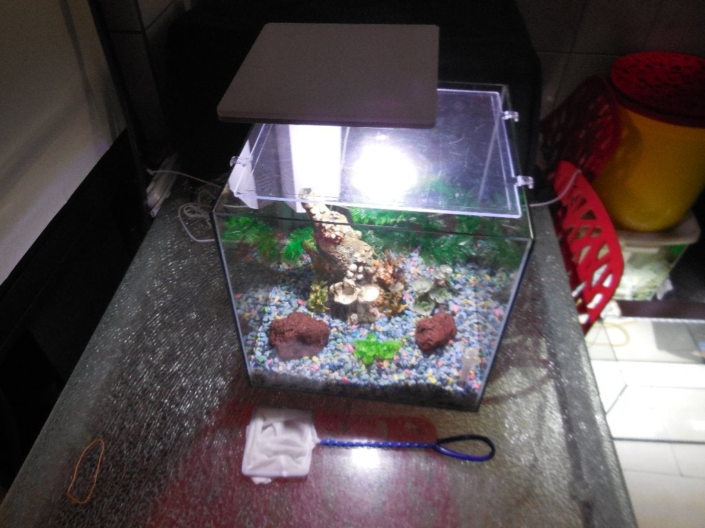 superfish qubiq 30 pro wit, Ophalen, Gebruikt, Leeg aquarium, Superfish