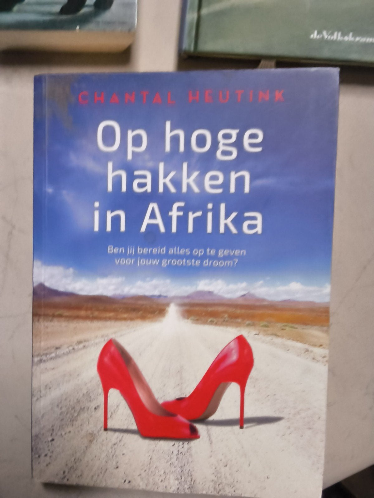 Diverse boeken: thrillers, romans, verhalenbundels, Ophalen of Verzenden, Gelezen, Diverse auteurs