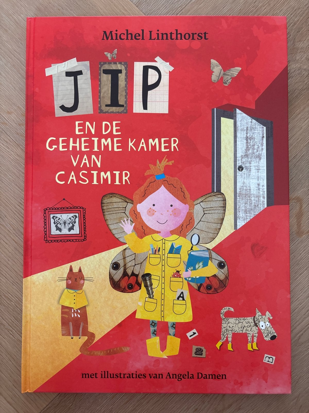 Jip en de Geheime Kamer van Casimir - Prentenboek, Ophalen of Verzenden, Zo goed als nieuw, Prentenboek