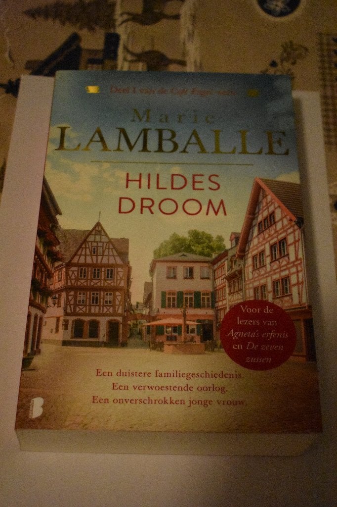 boek van Marie Lamballe/Hilde's droom, Ophalen of Verzenden, Zo goed als nieuw, Marie Lamballe