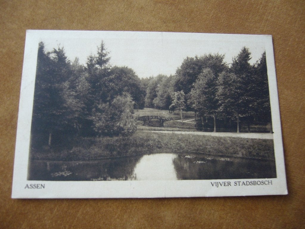 ASSEN  =  VIJVER STADSBOSCH   1919, Ophalen of Verzenden, Voor 1920, Gelopen, Drenthe