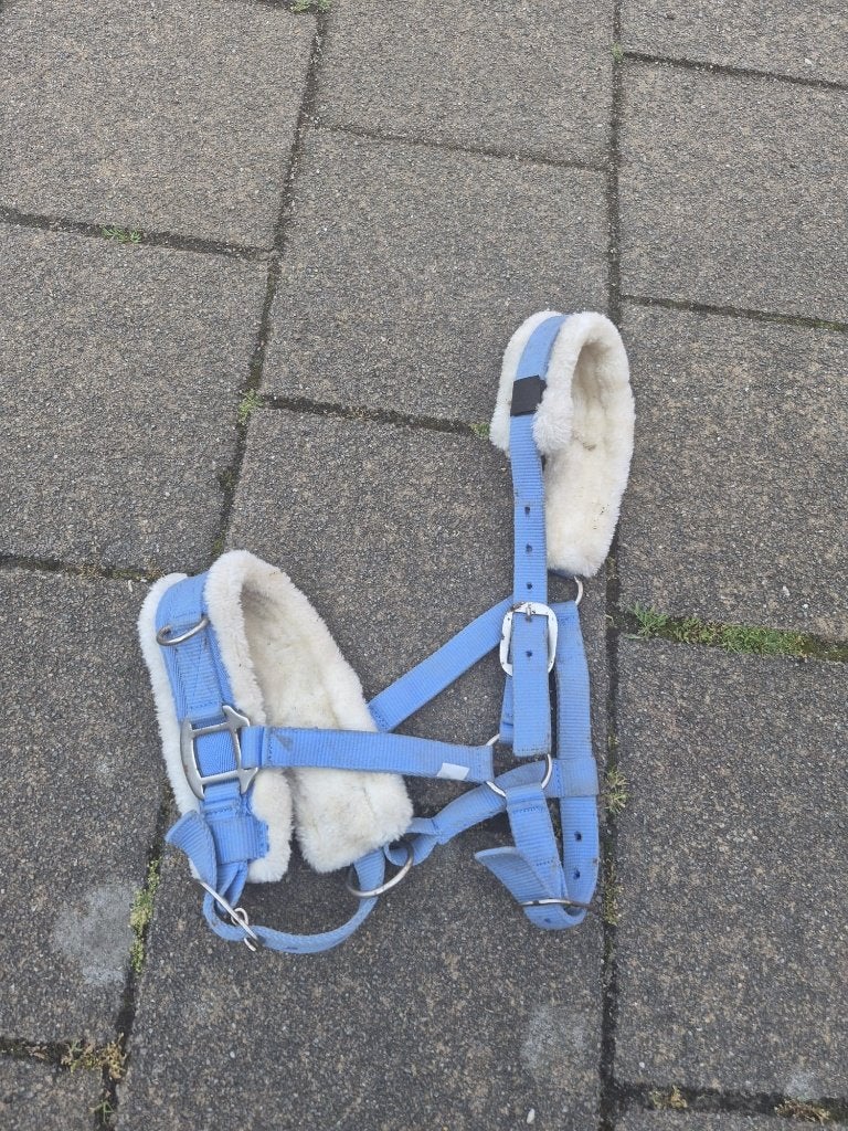 Kaptoom cob, Verstelbaar, Ophalen of Verzenden, Zo goed als nieuw, Blauw