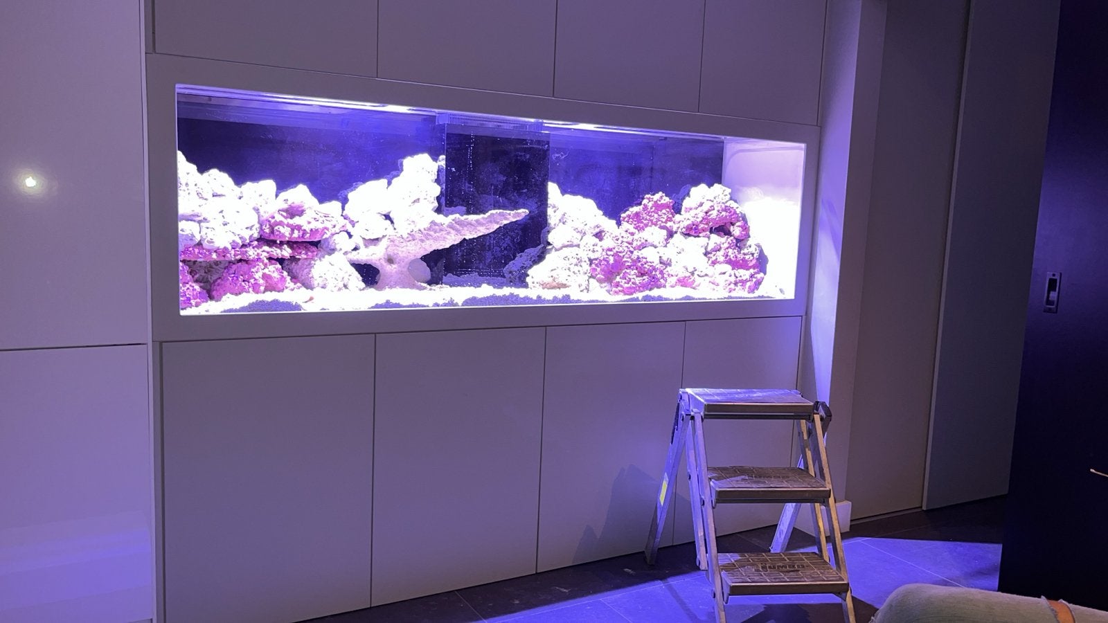 Te koop Aquarium in zeer goede staat, Dieren en Toebehoren, Ophalen, Inclusief deksel, Overige merken, Zo goed als nieuw