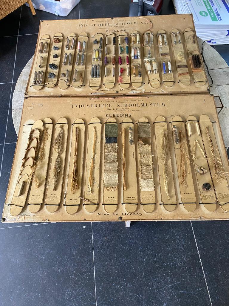 schoolplaat, Antiek en Kunst, Antiek | Schoolplaten, Ophalen, Natuur en Biologie