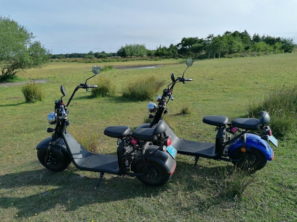 Twee mooie E-choppers - Elektrische Choppers, Ophalen, Gebruikt, Elektrisch, Overige merken