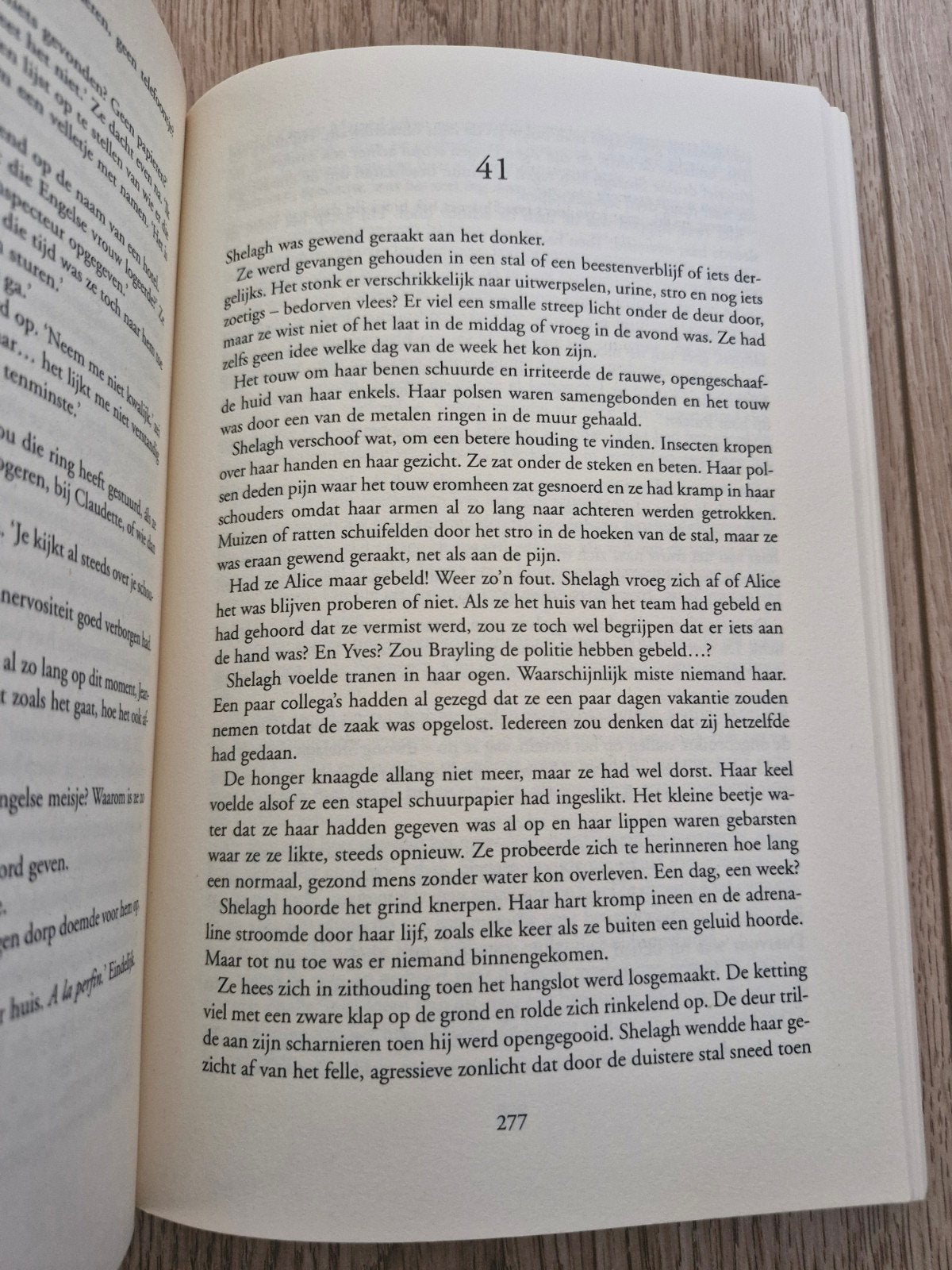 Kate Mosse - Het verloren labyrint, Ophalen of Verzenden, Zo goed als nieuw, Kate Mosse