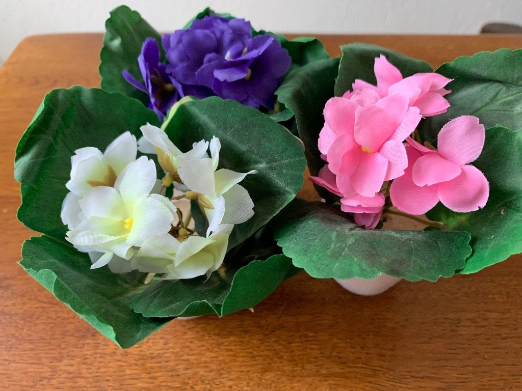 3 Zijde Kaapse Viooltjes Kleur: Blauw/Roze/Wit Nieuw, Huis en Inrichting, Kamerplanten, Ophalen of Verzenden, Halfschaduw, Minder dan 100 cm