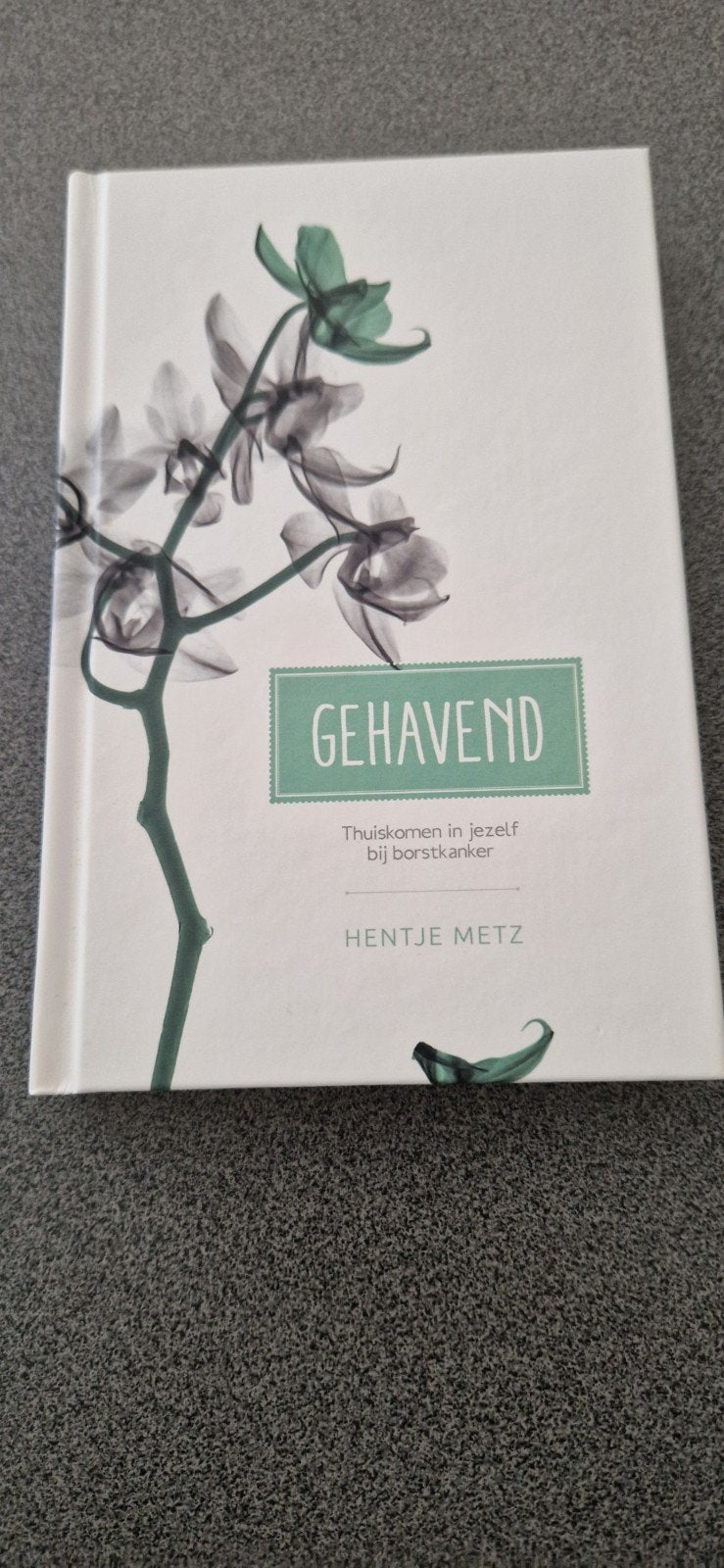 Hentje Metz - Gehavend, Ophalen of Verzenden, Zo goed als nieuw, Nederlands, Hentje Metz