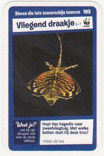 Super dieren no.103 Vliegend draakje [2732]  [VeOvSu], Albert Heijn, Ophalen of Verzenden