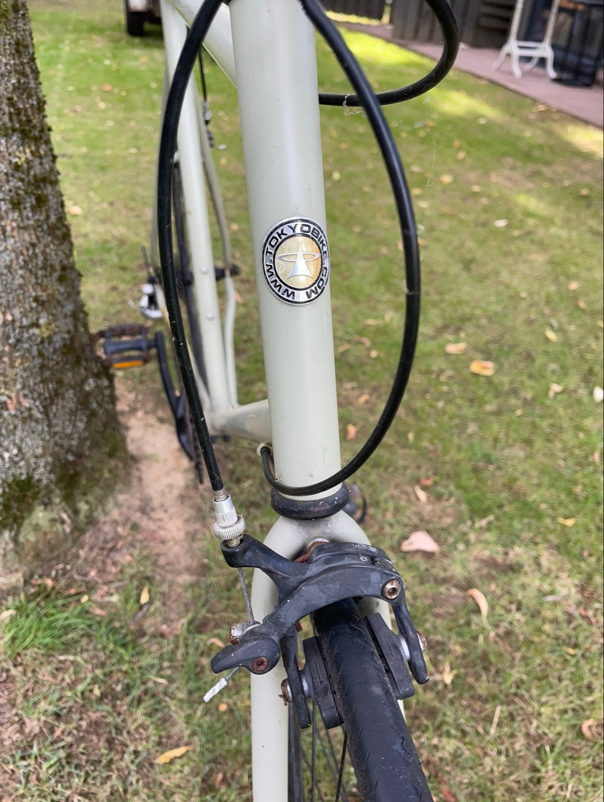 Tokyo Bike Sportfiets - Groen - Goede staat, Gebruikt, Velgrem, Ophalen, Overige merken