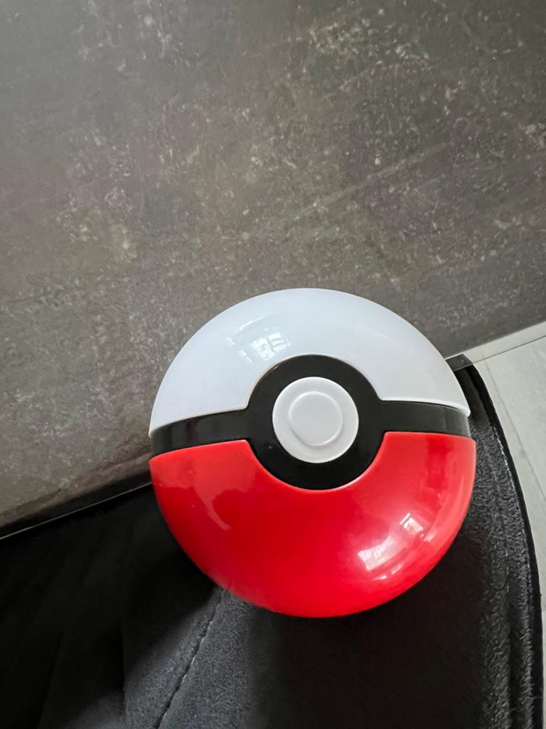 Pokébal met Charizard, Ophalen of Verzenden