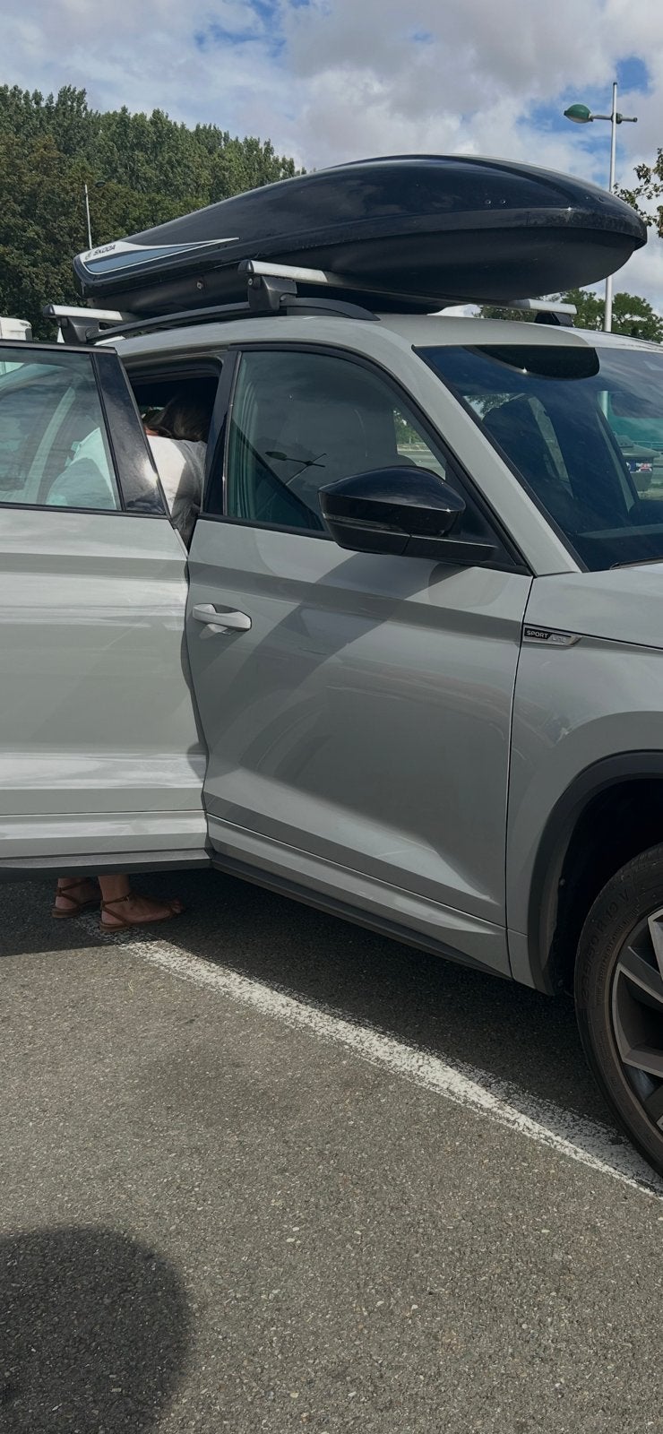 Skoda dakkoffer 380L zwart, Ophalen, Gebruikt
