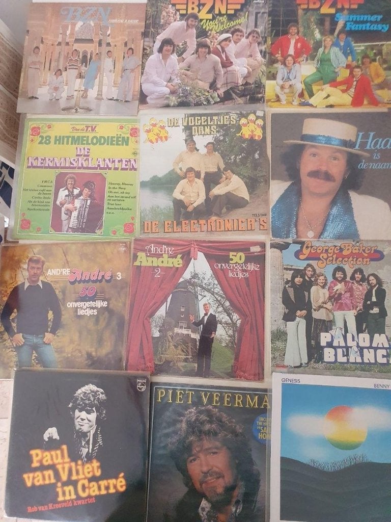 12 stuks LP Nederlandse artiesten, Cd's en Dvd's, Vinyl | Nederlandstalig, Ophalen of Verzenden, Gebruikt, 12 inch, Levenslied of Smartlap