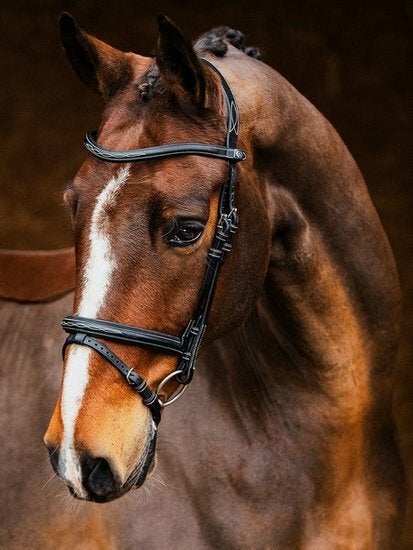 Ps of Sweden hoofdstel stockholm zwart maat full, Dieren en Toebehoren, Paarden en Pony's | Hoofdstellen en Tuigage, Ophalen of Verzenden