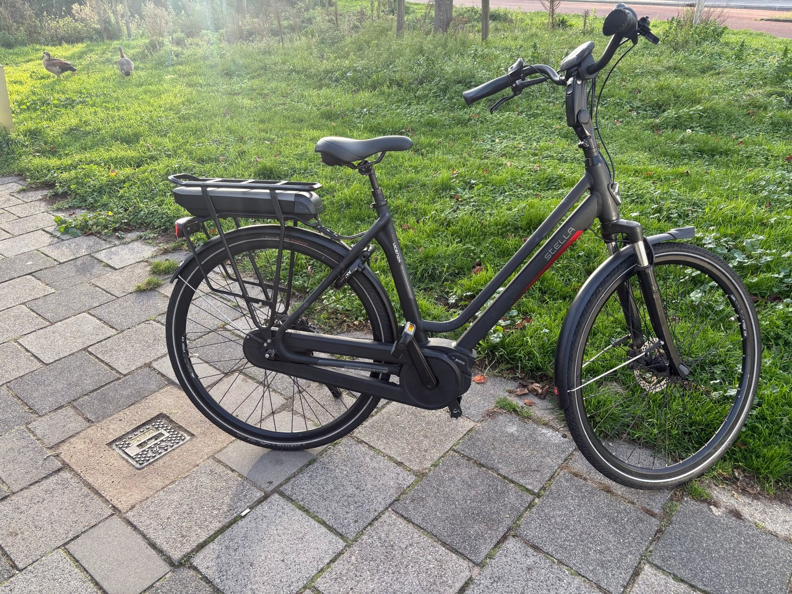 Stella Vicenza Dames 53cm Bosch, Fietsen en Brommers, Overige merken, Gebruikt, Ophalen of Verzenden, 51 tot 55 cm