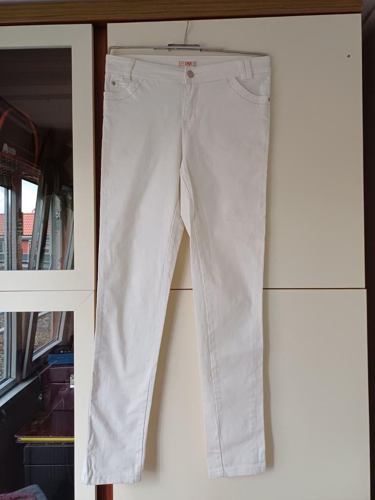 DIDI BROEK.  ZGAN, Ophalen of Verzenden, Zo goed als nieuw, Maat 36 (S), Lang