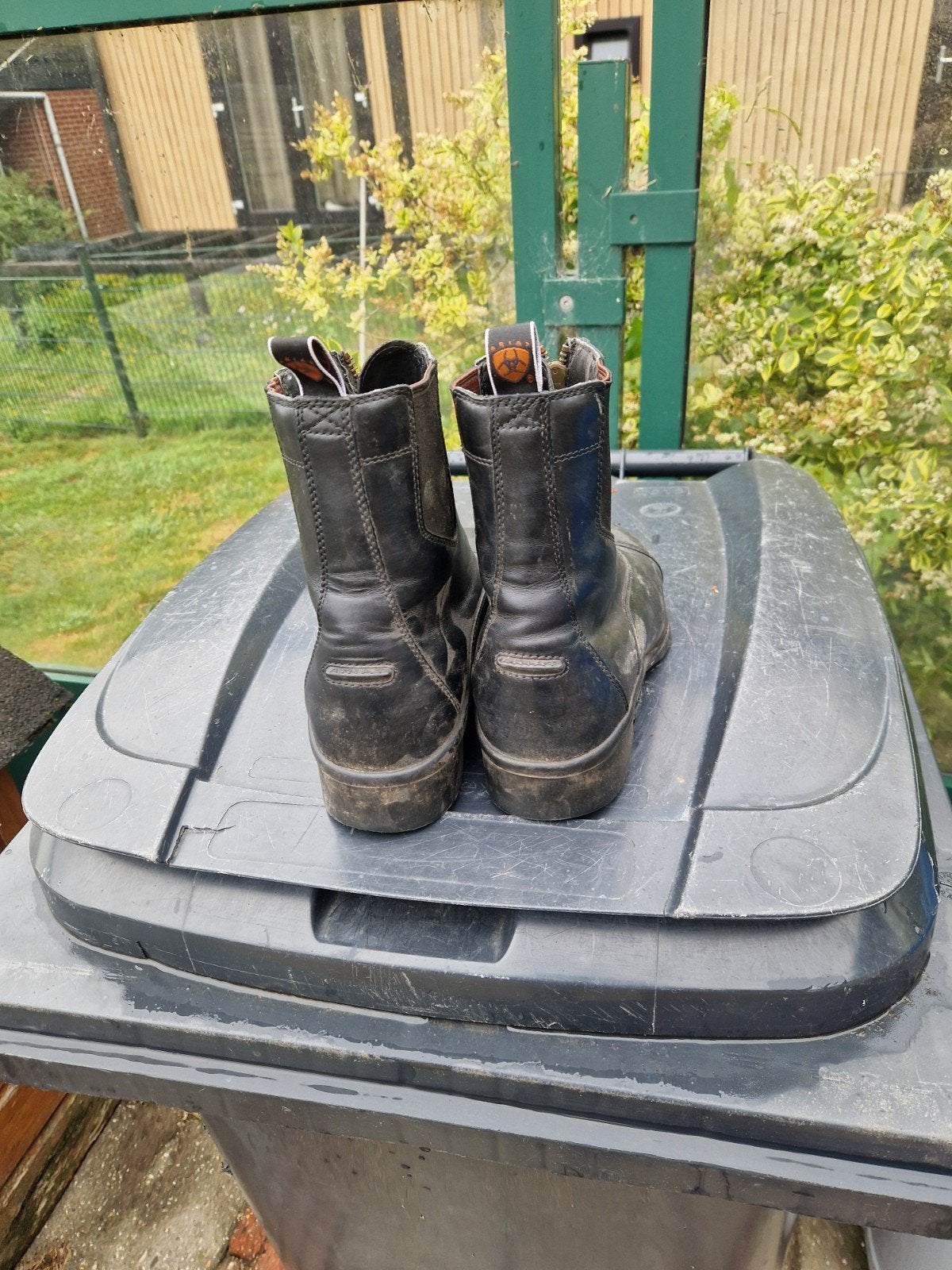 Ariat jodphurs maat 42,5, Ophalen of Verzenden