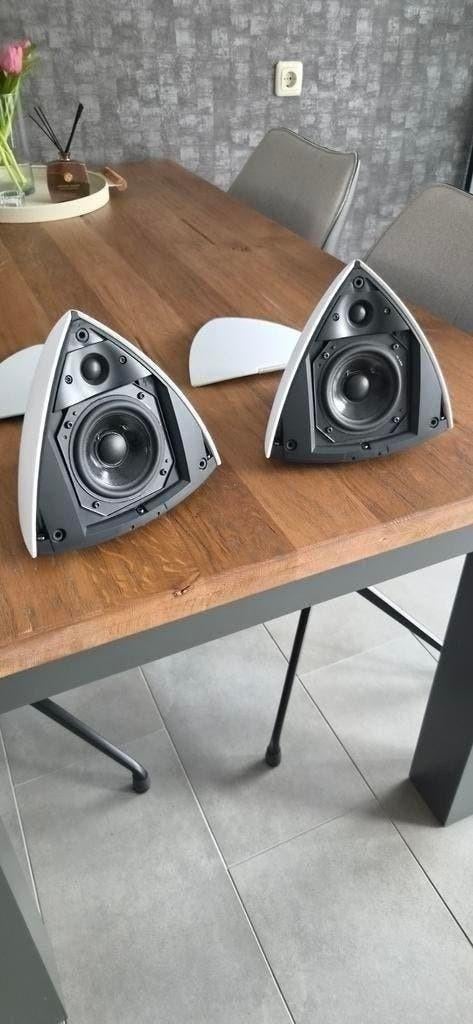 Bang en olufsen beolab 4 (licht grijs)actief!, Audio, Tv en Foto, Luidsprekers, Overige merken, Ophalen of Verzenden, Zo goed als nieuw