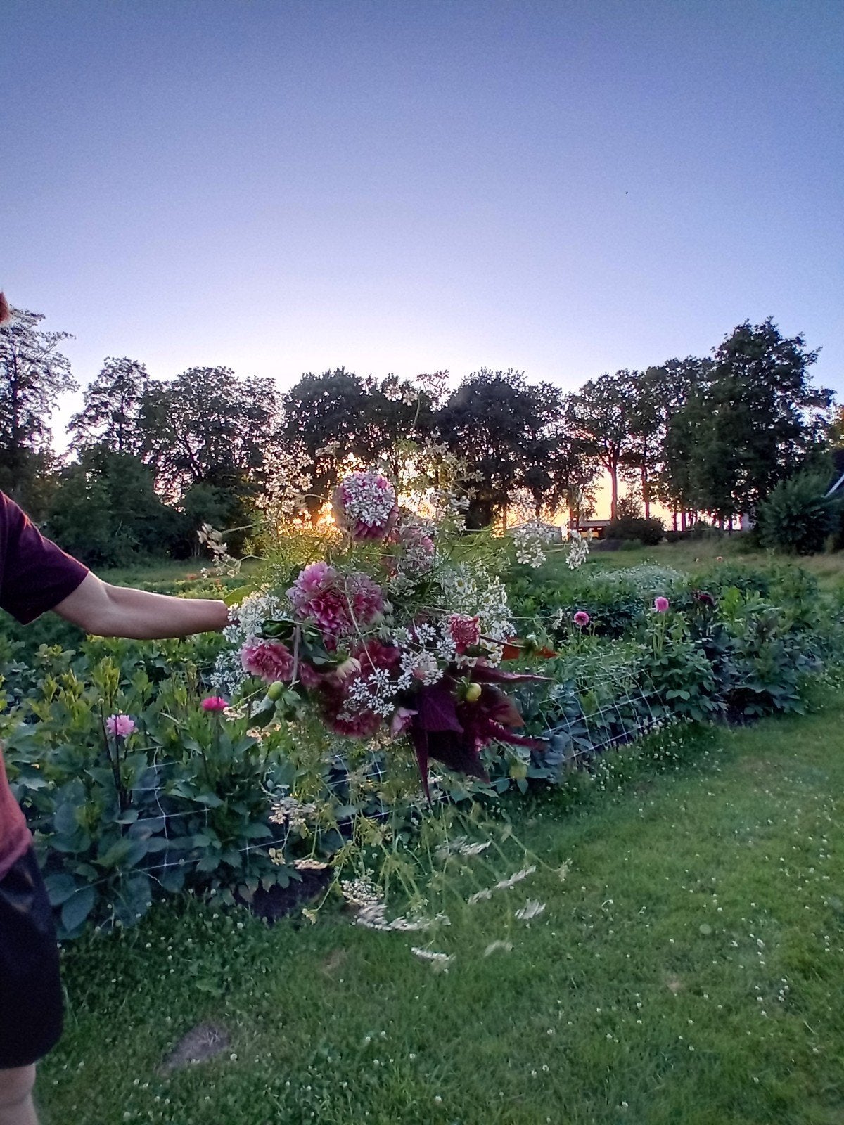 Gezocht: bosgrond weiland perceel grasland weide grond