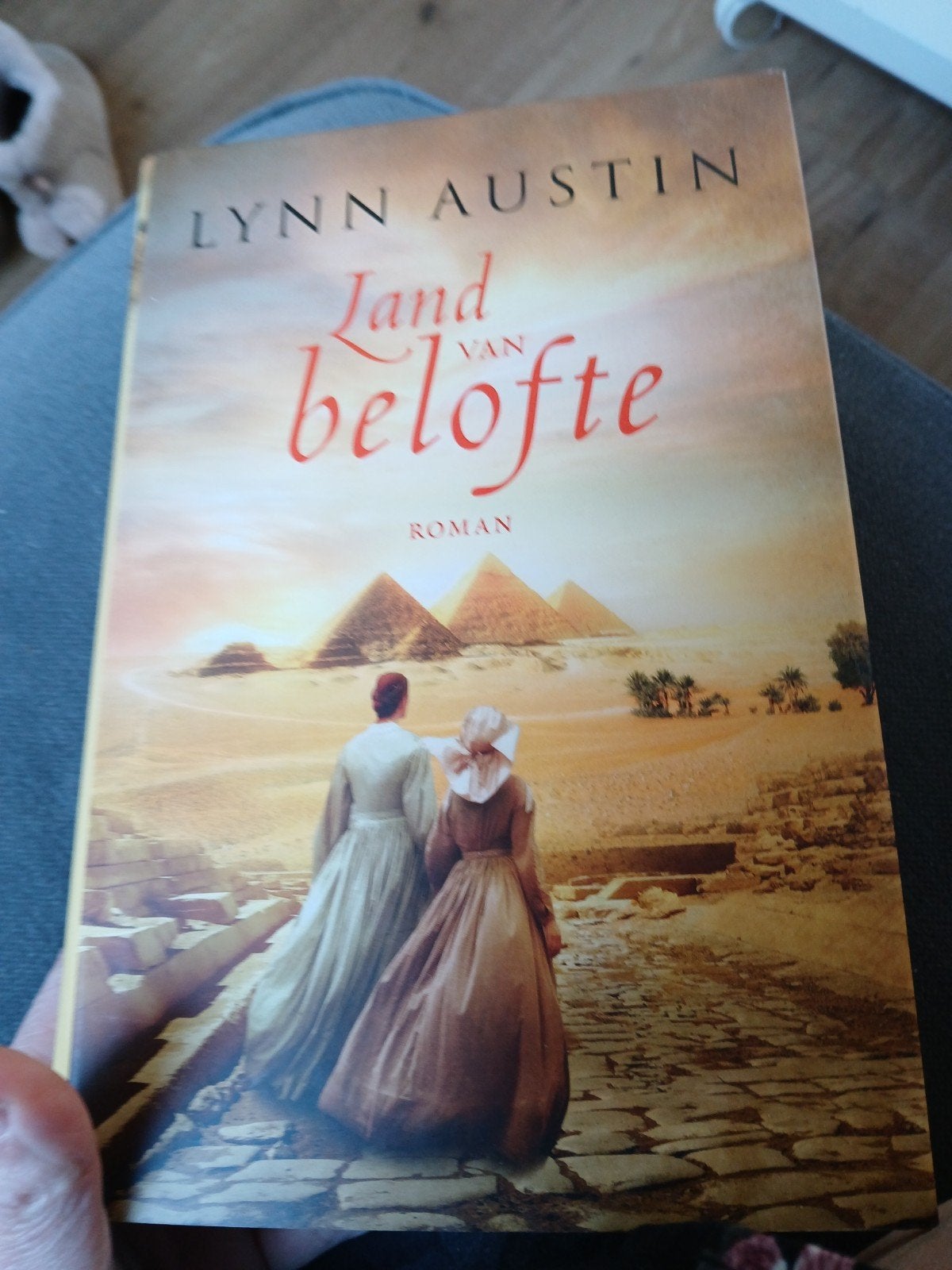 Land van belofte - Lynn Austin (Roman), Ophalen of Verzenden, Zo goed als nieuw, Lynn Austin, Nederland