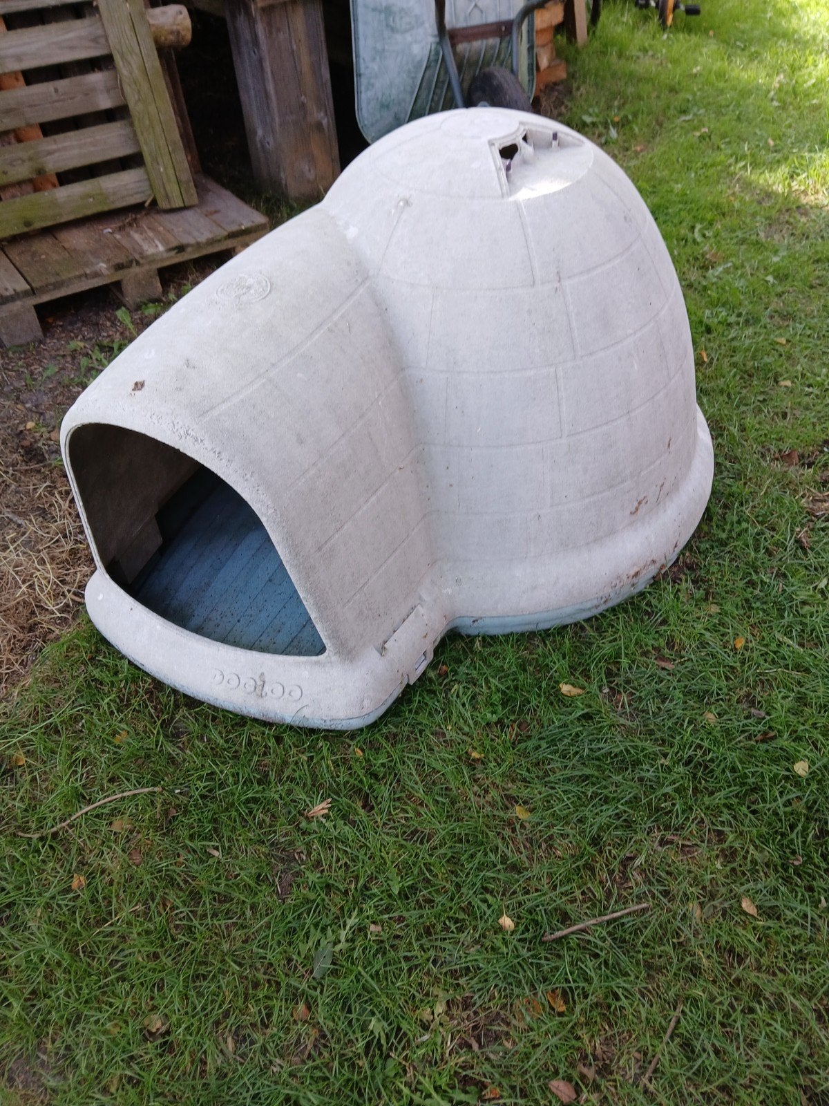 Iglo., Ophalen, Kooi, 60 tot 90 cm, Cavia