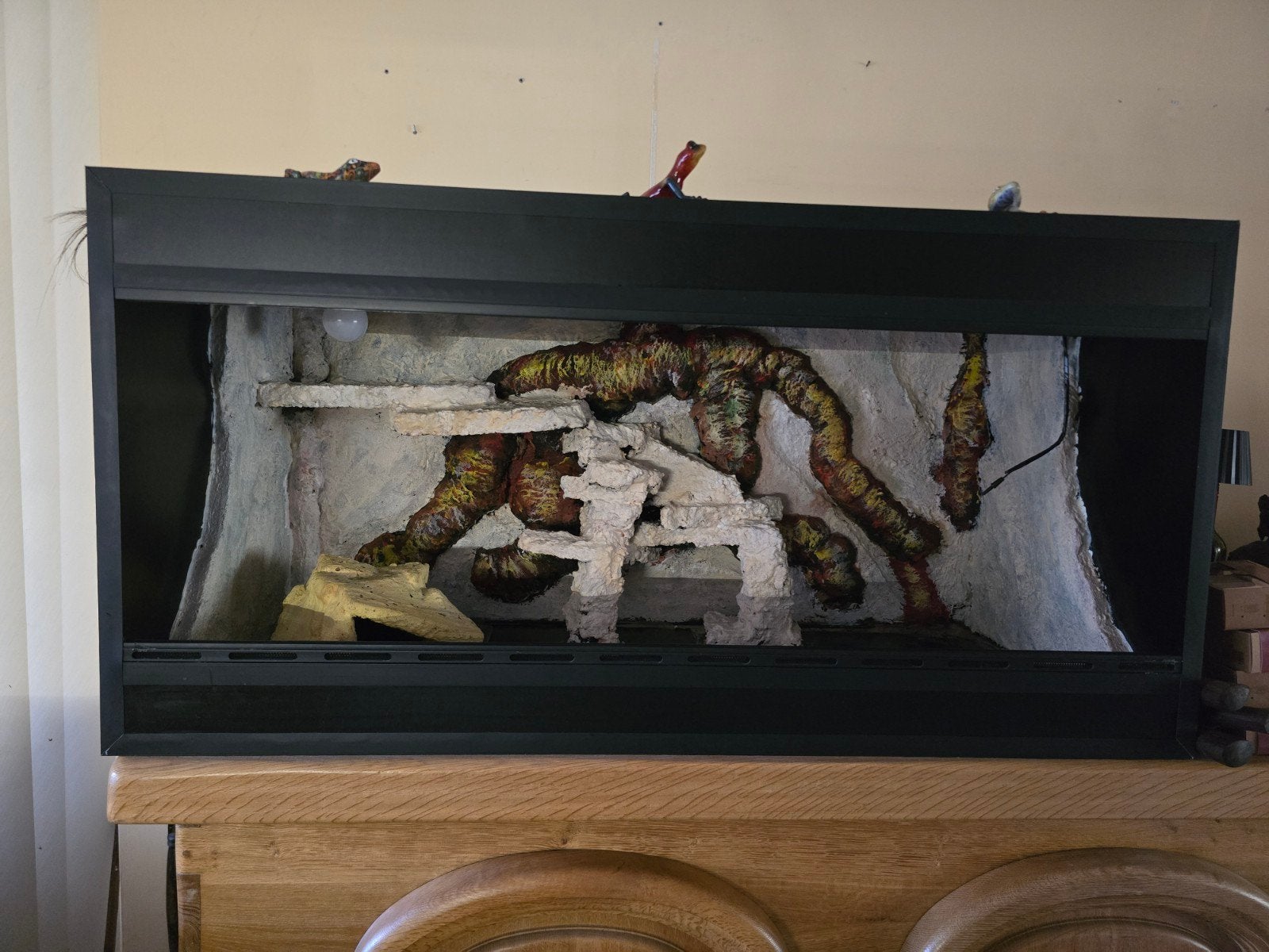 Groot terrarium, supercompleet, 3D achterwand, Dieren en Toebehoren, Ophalen
