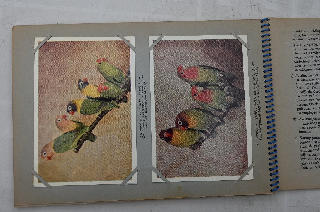 Vogelpracht in Avifauna plaatjes album Taminiau's deel 2 + 3, Ophalen of Verzenden, Gelezen, Vogels, A.B. Wigman