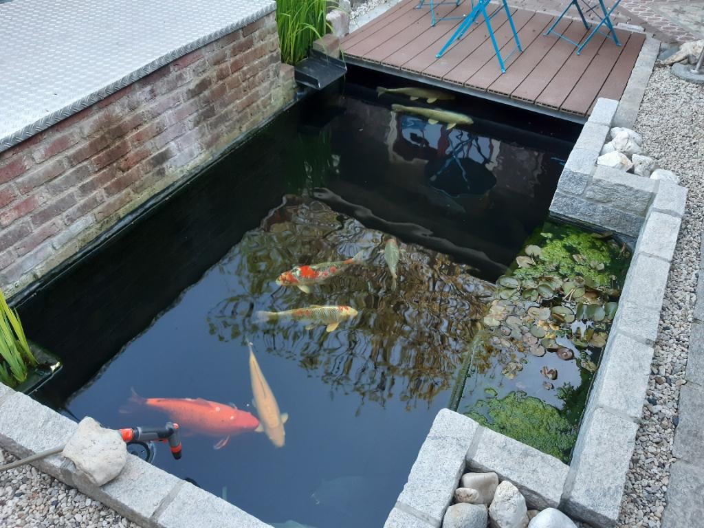 Complete koivijver met installatie, Tuin en Terras, Vijver-toebehoren, Ophalen of Verzenden, Zo goed als nieuw