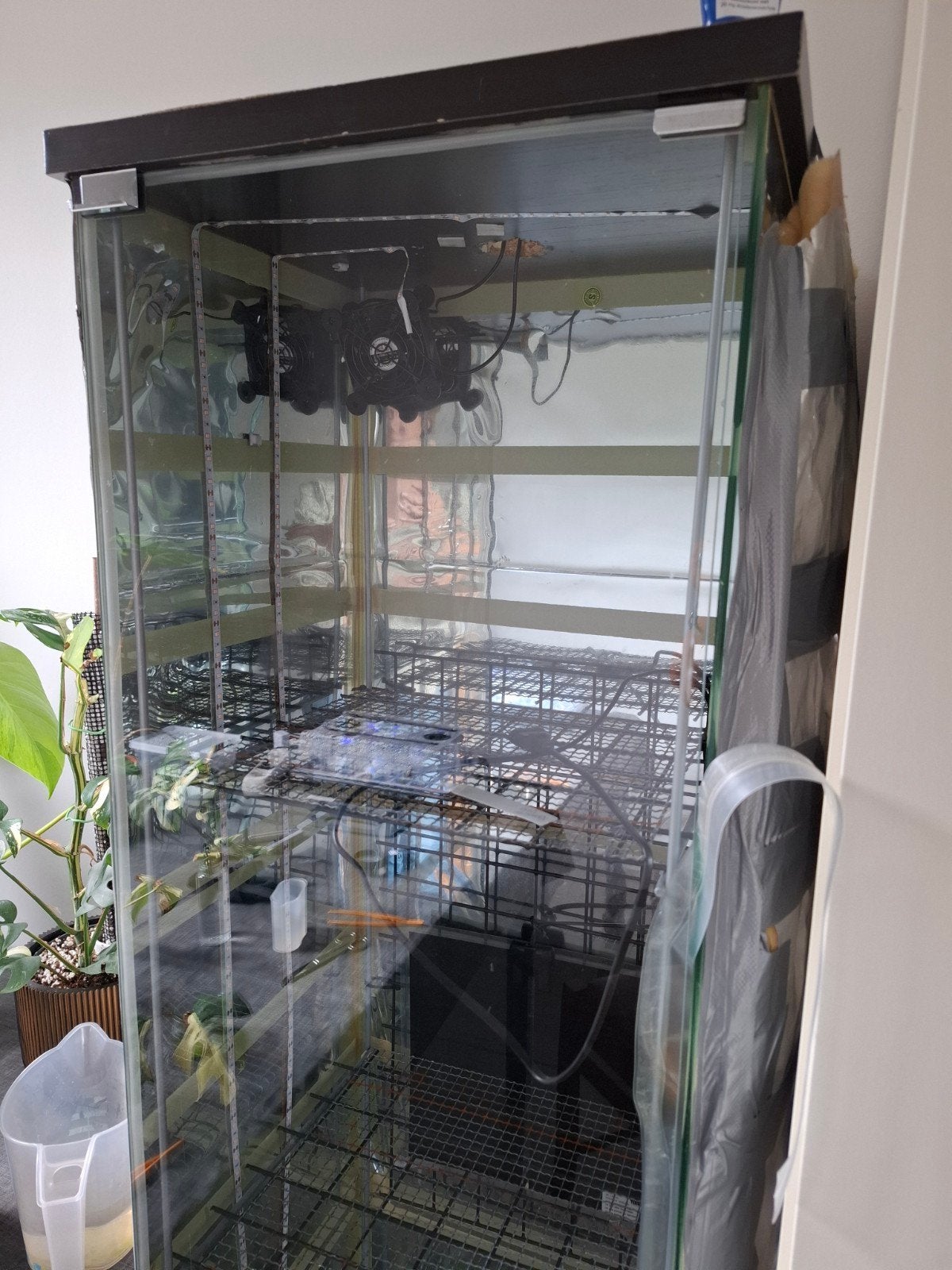 Kweekkast, Tuin en Terras, Kweekspullen, Gebruikt, Kweekbak, Ophalen