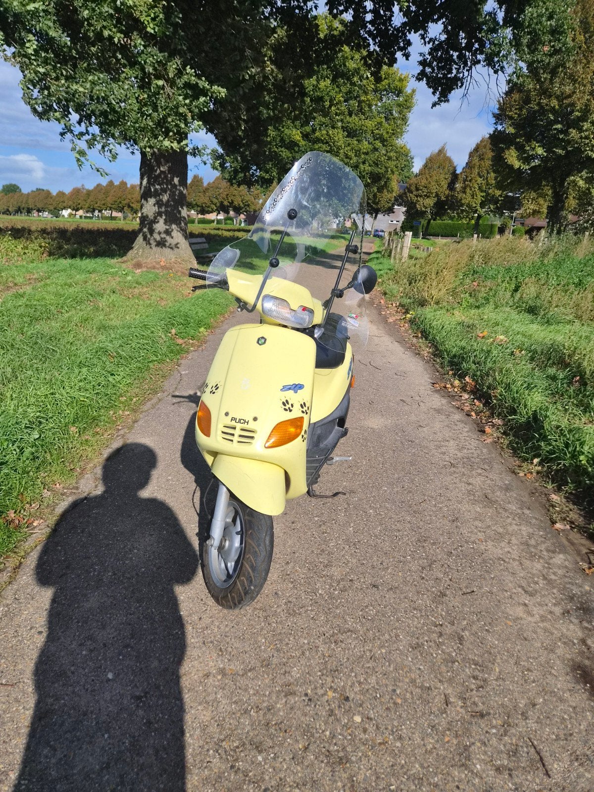 zip type 2. orgineel 50cc ️, Fietsen en Brommers, Ophalen of Verzenden, Zo goed als nieuw, Tweetakt, Overige modellen