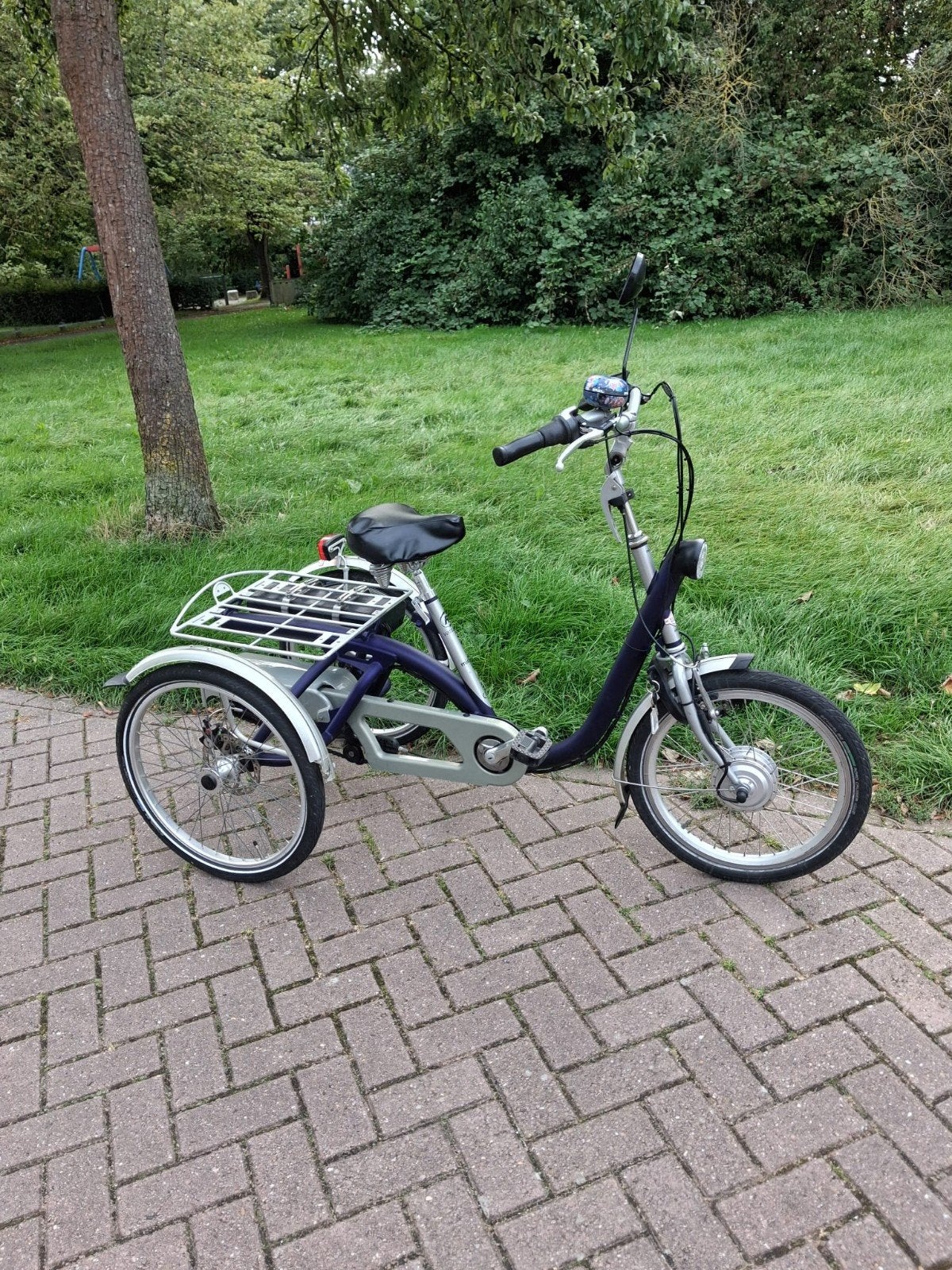 Van Raam Midi driewieler, Ophalen, Zo goed als nieuw, Velgrem, Van Raam