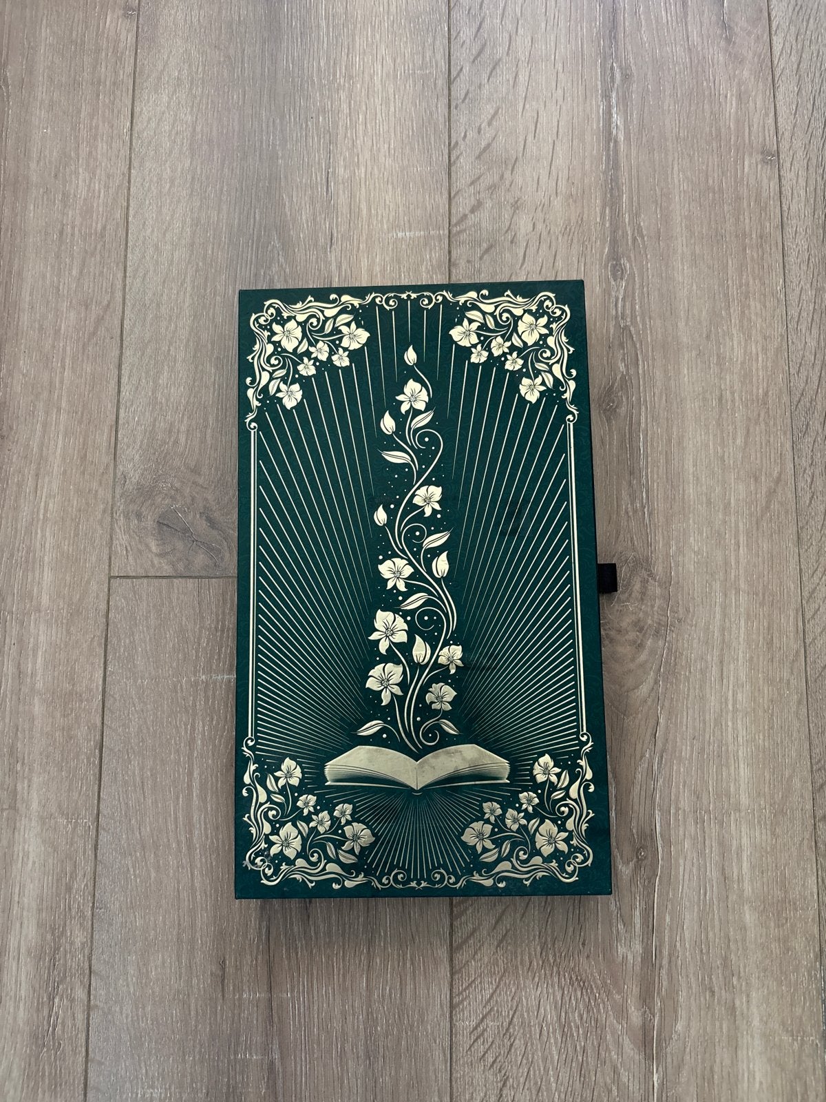 Tomorrowland 2019 The Book of Wisdom Treasure Case + armband, Ophalen