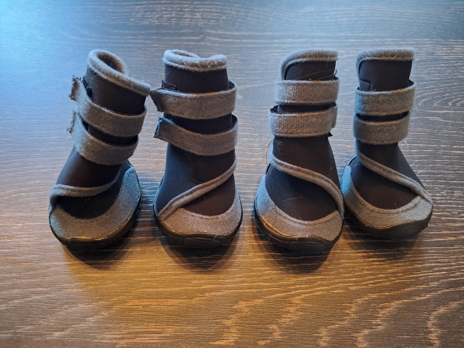 Hondenschoenen maat M, Ophalen of Verzenden