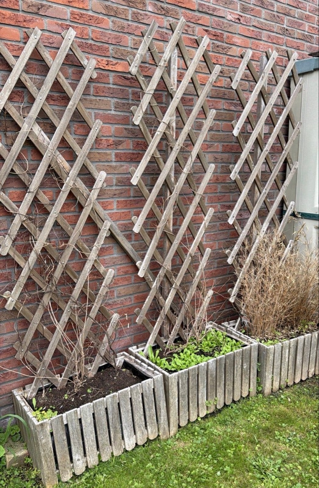 Gratis af te halen: Plantenbakken met klimrek en aarde, Tuin en Terras, Ophalen, Gebruikt, 100 cm of meer, 60 cm of meer