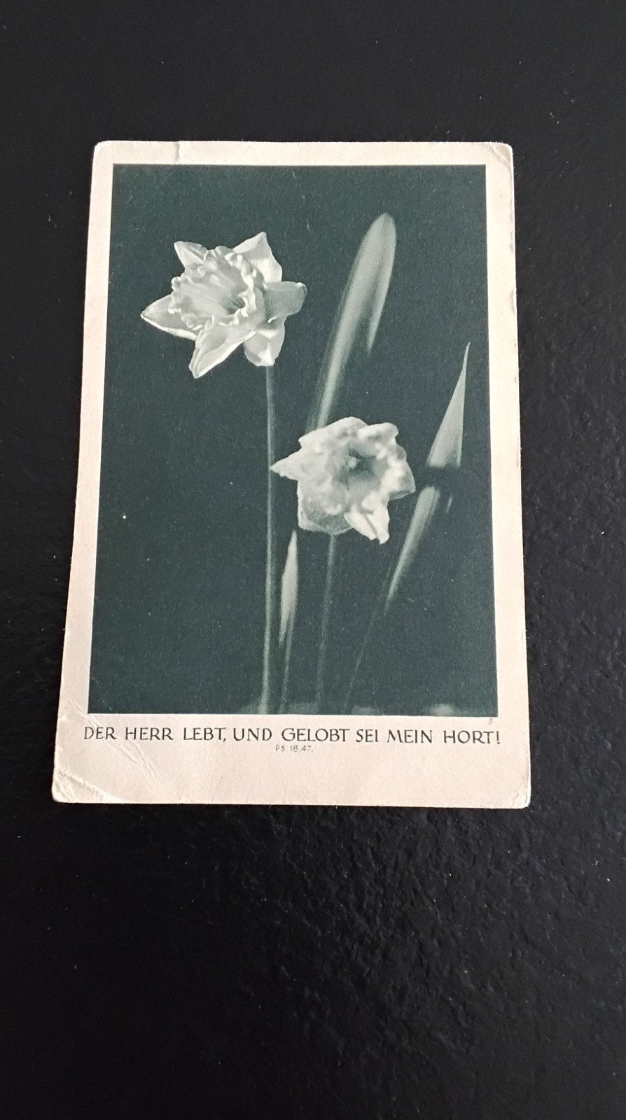 Oude Ansichtkaart: Narcissen met Duitse Tekst (1933), Verzamelen, Ansichtkaarten | Themakaarten, Ophalen of Verzenden, 1920 tot 1940