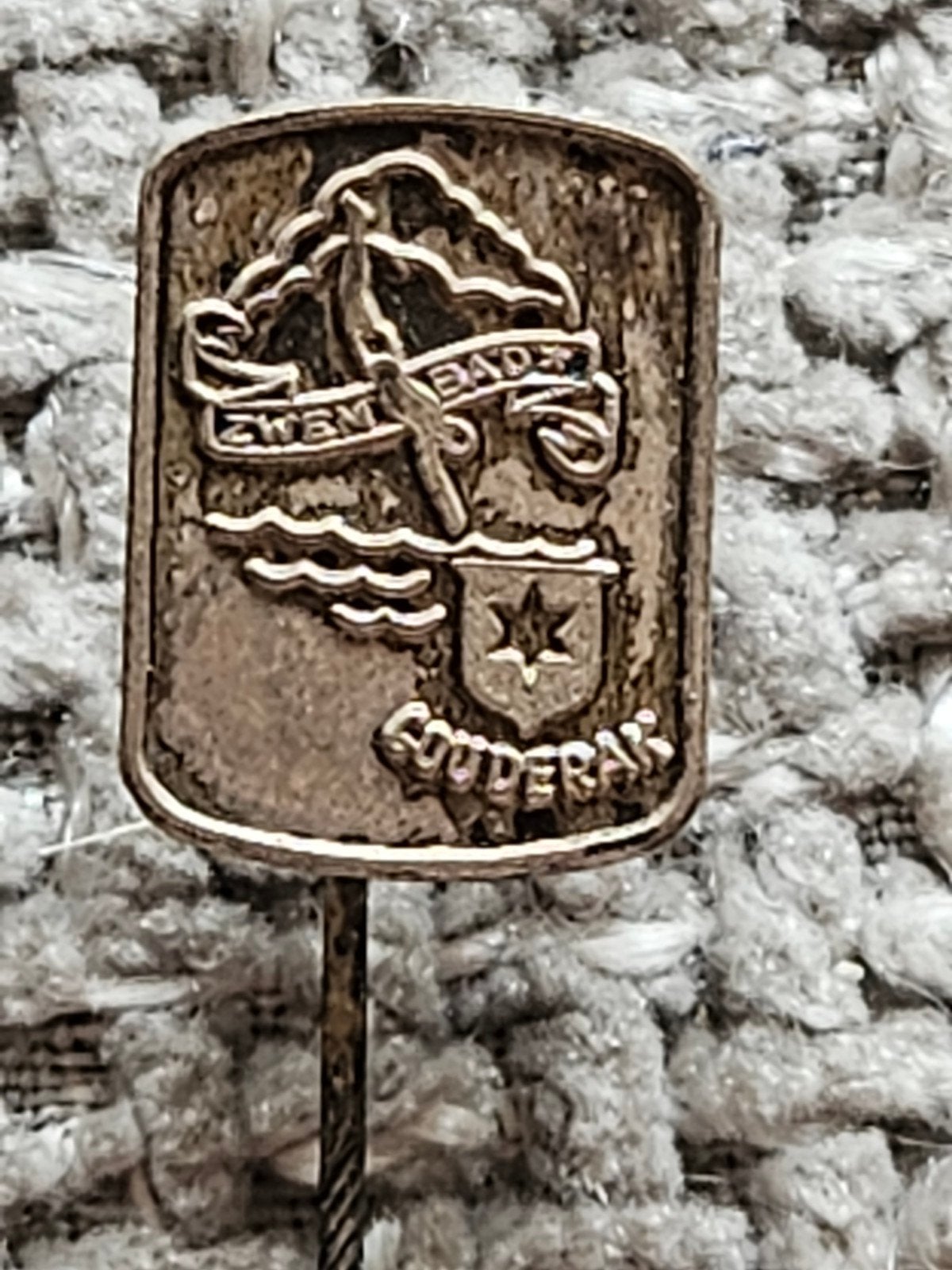 Gouderak zwembad speldje, Verzamelen, Ophalen of Verzenden, Gebruikt, Stad of Land, Speldje of Pin