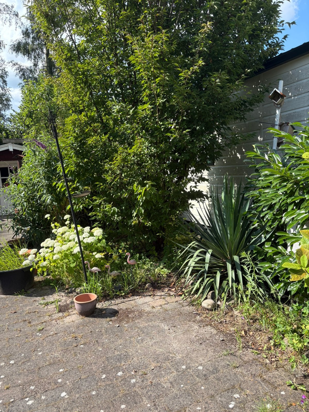 Gezocht: Hulp met mijn tuintje, Tuin en Terras, Overige Tuin en Terras, Zo goed als nieuw, Ophalen of Verzenden