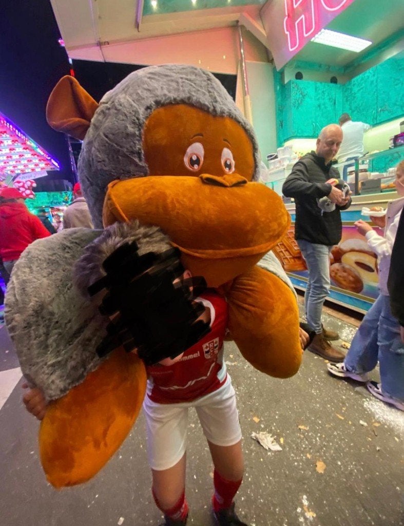 Grote knuffel aap, Ophalen, Overige merken, Overige karakters, Nieuw