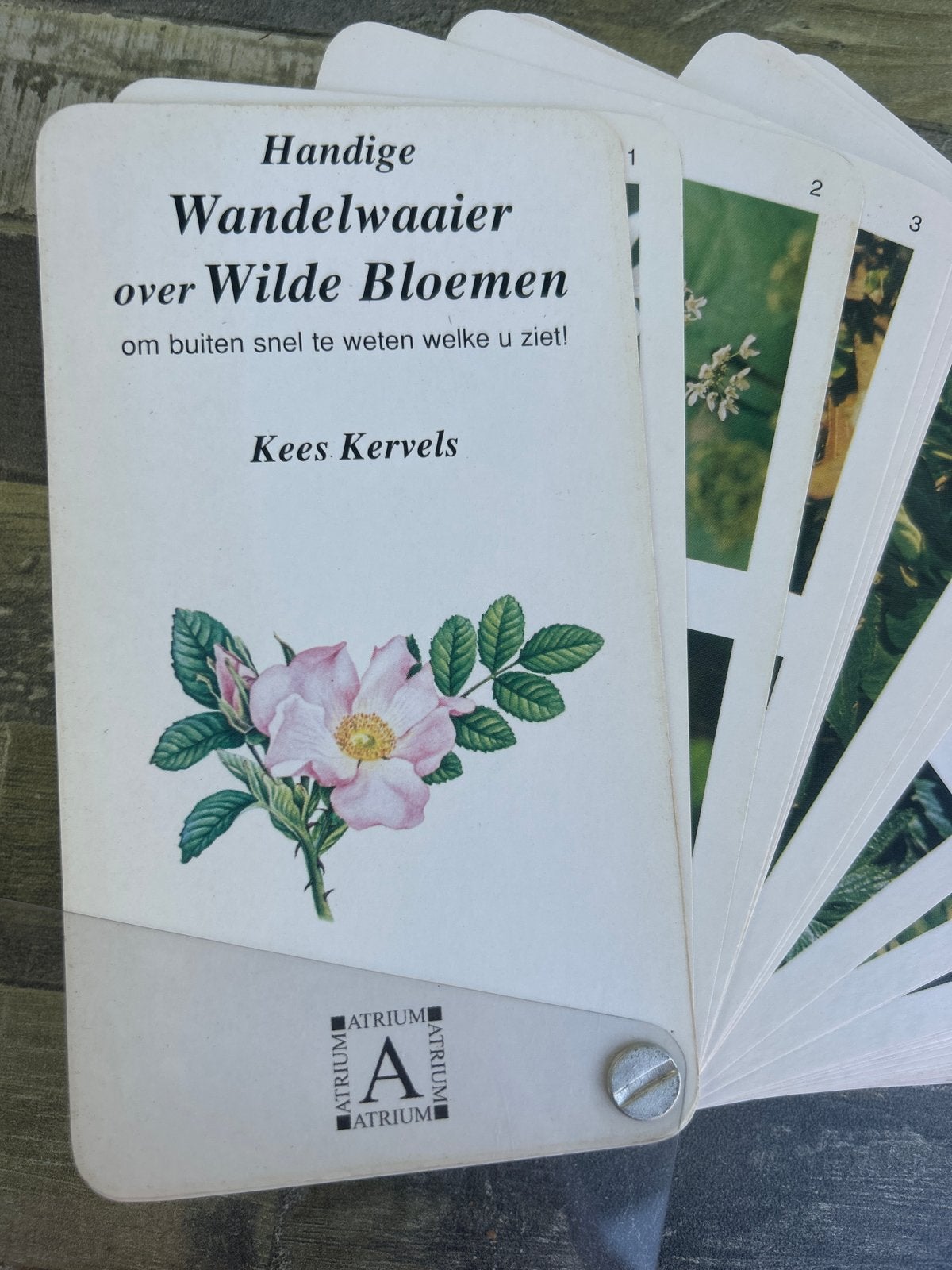 Handige Wandelwaaier over Wilde Bloemen - Kees Kervels, Boeken, Natuur, Ophalen of Verzenden, Zo goed als nieuw, Bloemen, Planten en Bomen