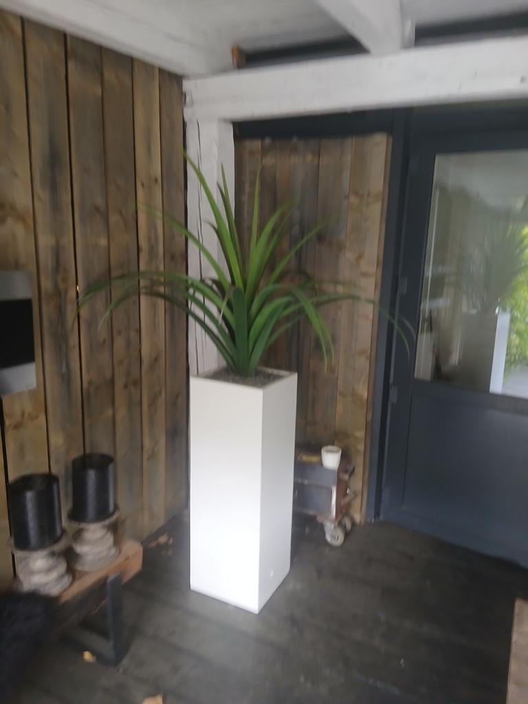 2 mooie kunstplanten in witte bakken voor binnen of buiten, Onderhoudsvrij, Kunstplant, Ophalen of Verzenden, Kunststof