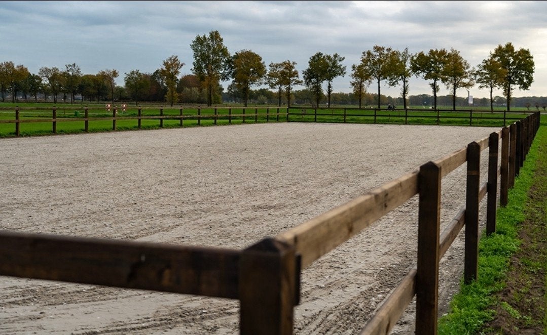 Gezocht; rijbak omgeving Toldijk, Dieren en Toebehoren, Stalling en Weidegang