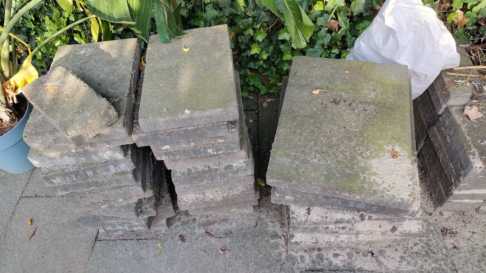 Gratis rechthoekige tuintegels lichtgrijs, Ophalen, Gebruikt, 5 tot 10 m², Beton