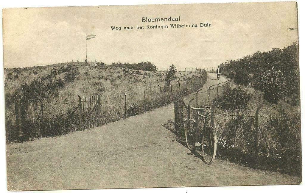 AK Bloemendaal - Weg naar het Koningin Wilhelmina Duin, Verzenden, Voor 1920, Gelopen, Noord-Holland
