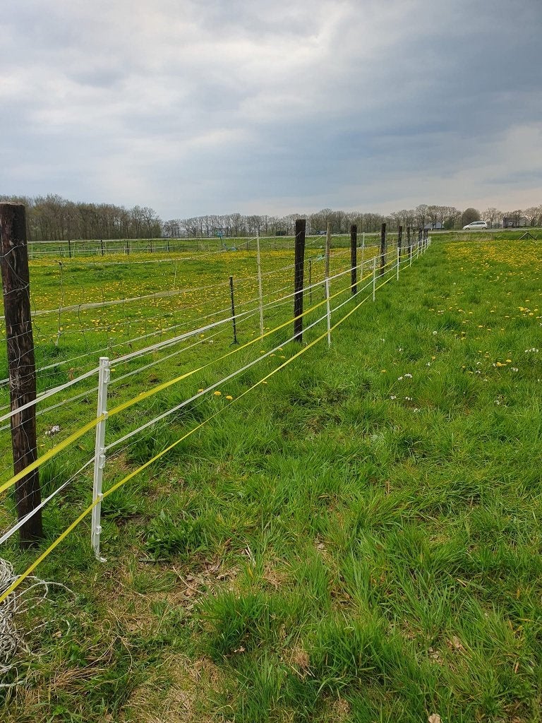 lakleer gareel tuig maat COB, Engels geen goedkope import, Dieren en Toebehoren, Paarden en Pony's | Hoofdstellen en Tuigage, Gebruikt