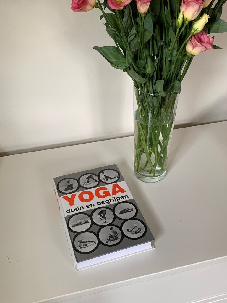 Yoga doen en begrijpen - Andre van Lysebeth, Boeken, Meditatie of Yoga, Nieuw, Instructieboek, Andre van Lysebeth