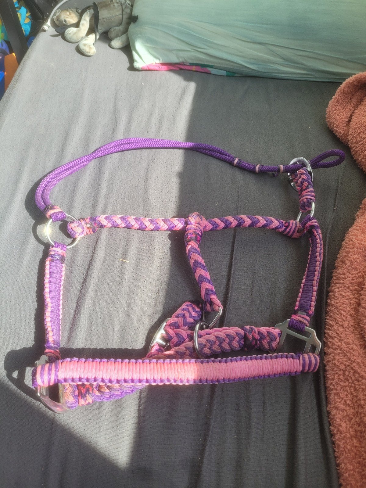 2x halsters maat cob, Ophalen of Verzenden, Zo goed als nieuw