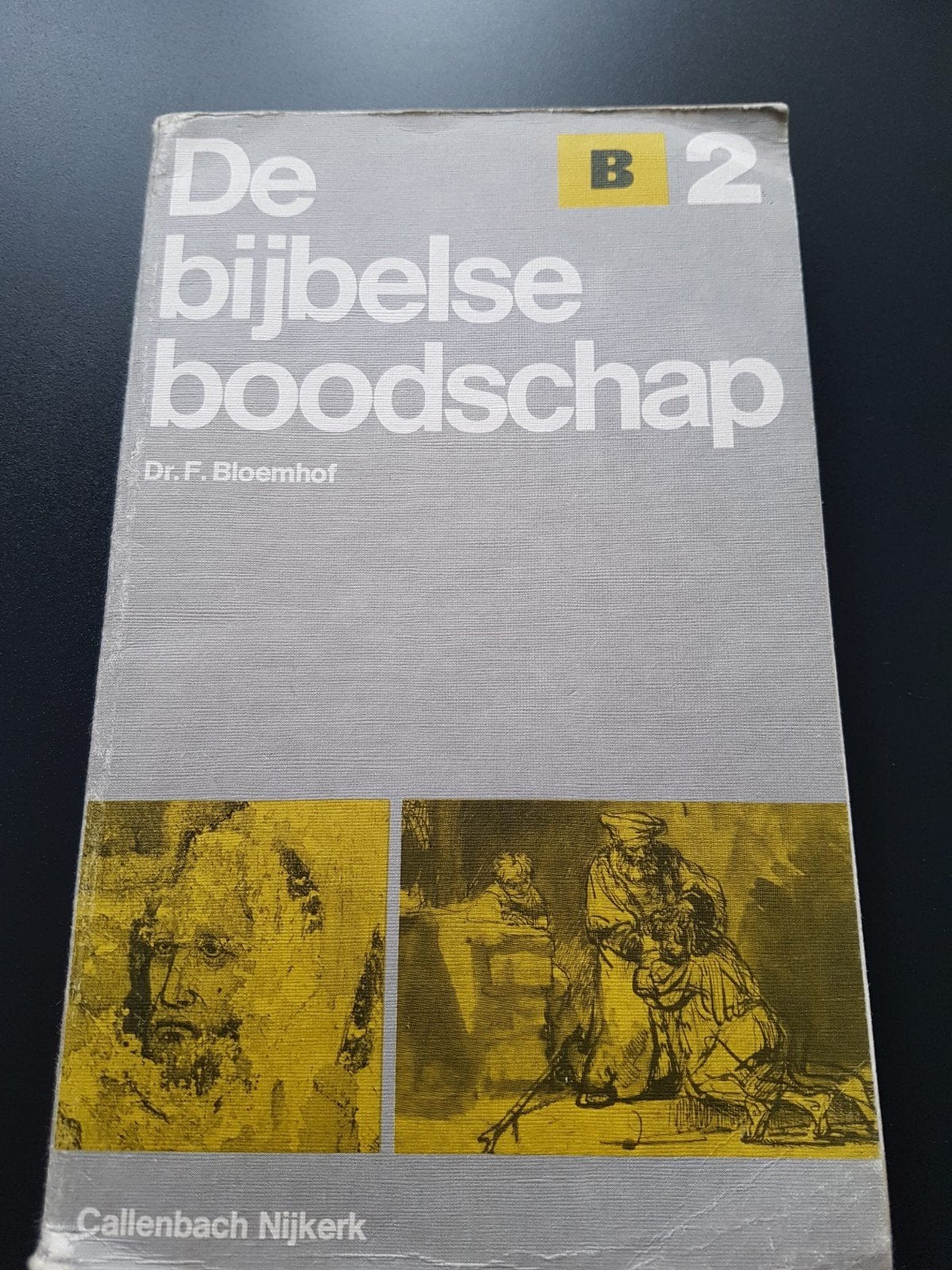 Boek: De Bijbelse Boodschap, geschreven door Dr. F. Bloemhof, Boeken, Ophalen of Verzenden, Zo goed als nieuw