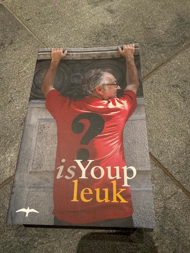 Is Youp Leuk - Boek van Youp van 't Hek, Ophalen of Verzenden, Gelezen, Nederland