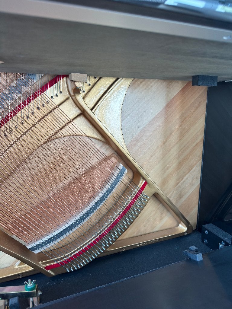 Foto 11 van Wilh. Steinberg P118 (piano zwart hoogglans)