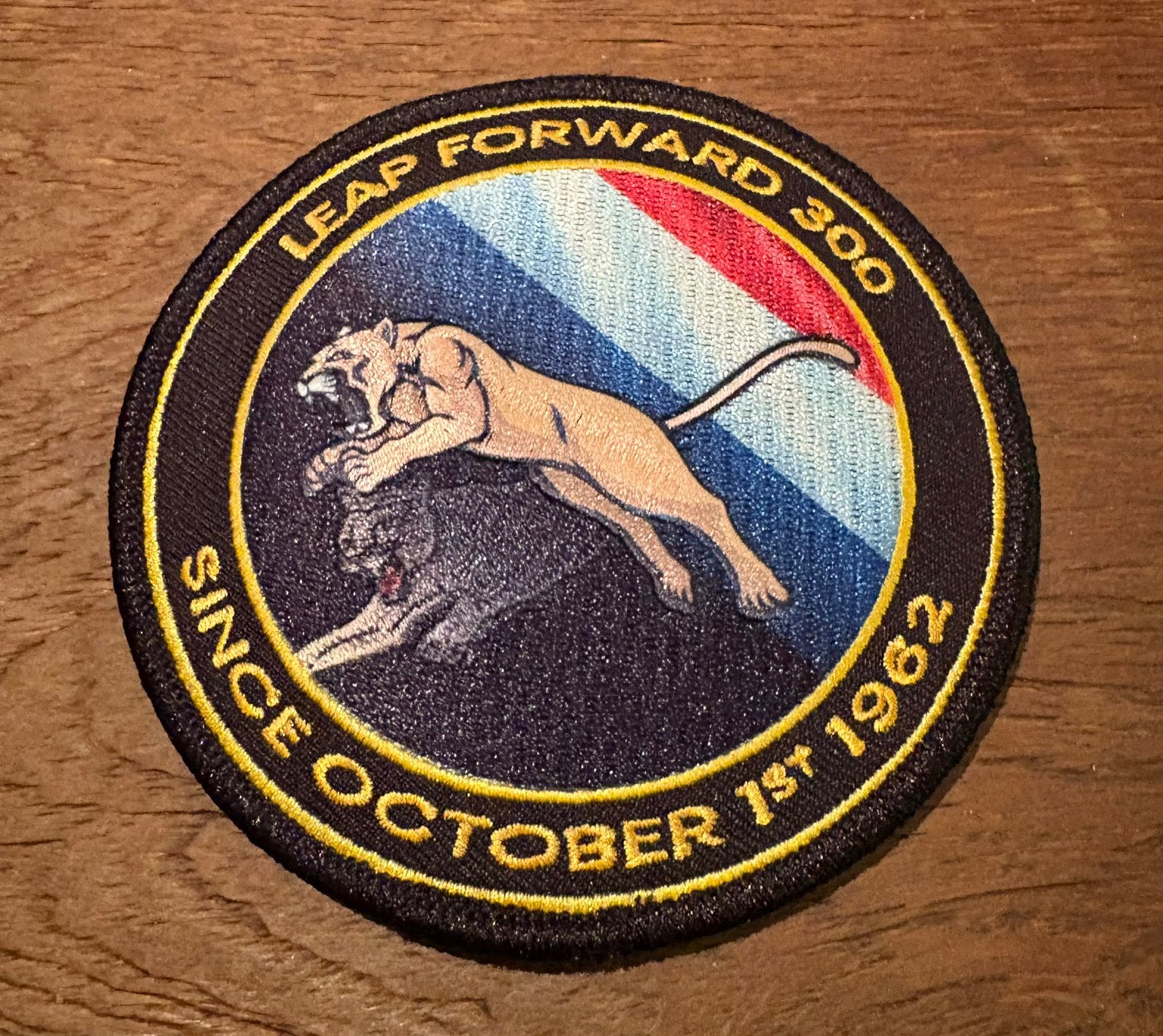 300 Squadron Special Forces Commando, Verzenden, Luchtmacht, Nederland, Embleem of Badge